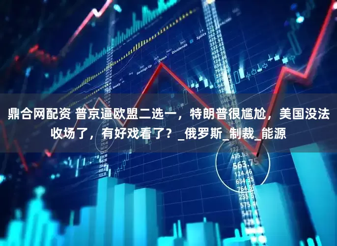 鼎合网配资 普京逼欧盟二选一，特朗普很尴尬，美国没法收场了，有好戏看了？_俄罗斯_制裁_能源